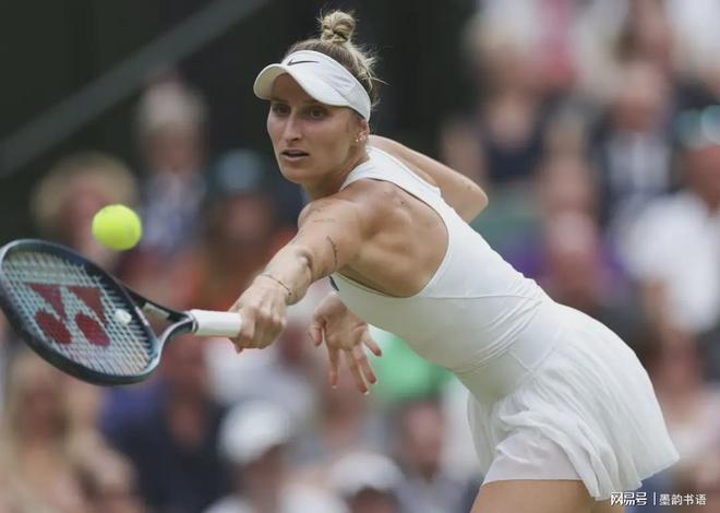 范迪克曾经 范迪克曾经